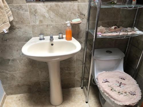 ein Bad mit einem Waschbecken und einem WC in der Unterkunft Casa de campo 