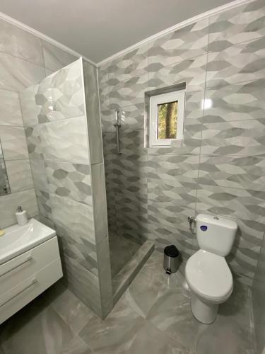 a bathroom with a toilet and a shower and a sink at Anikó kulcsosház in Corund