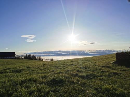 a field of grass with the sun in the sky at Pine View 