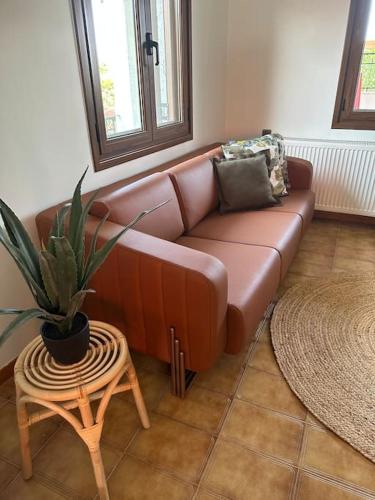 a brown leather couch in a living room with a plant at Caja De Anthea in Artemida