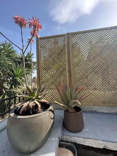 two potted plants sitting on a ledge next to a fence at Caja De Anthea in Artemida