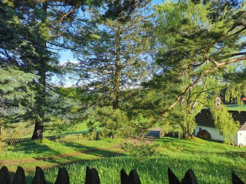 a view of a yard with trees and a house at Pine View 