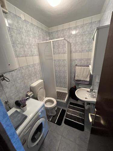 a bathroom with a toilet and a shower and a sink at Apartments Marina in Posedarje