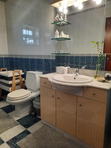アヴェイロにあるCasa das Caméliasのバスルーム(トイレ、洗面台、鏡付)