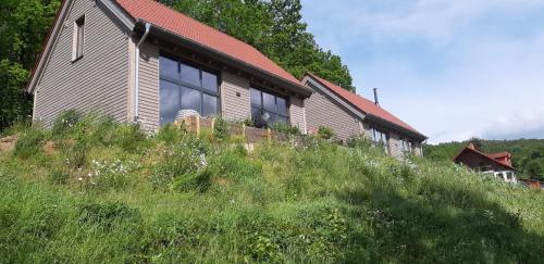 a house sitting on top of a grassy hill at Odenwald-Lodge mit Infrarotsauna und E-Ladestation im Naturpark Odenwald "Haus Himmelblau" in Reichelsheim