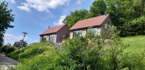 a house on the side of a hill at Odenwald-Lodge mit Infrarotsauna und E-Ladestation im Naturpark Odenwald "Haus Himmelblau" in Reichelsheim