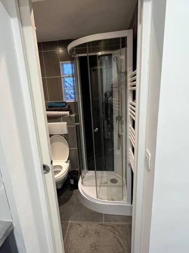 une salle de bain avec toilettes et douche en verre dans l'établissement Duplex T2 à Arcueil à 3min arrêt Laplace RER B, à Arcueil