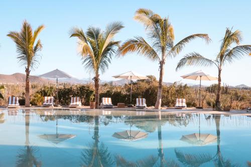 a swimming pool with palm trees and chairs at Baja Nomads Hotel - Adults 15 Plus in Todos Santos