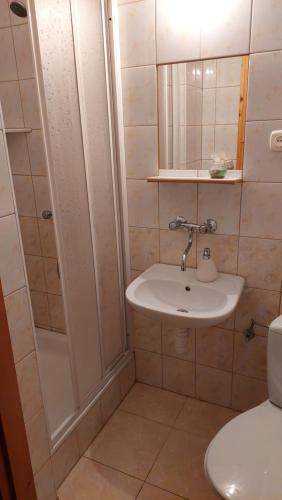 Ένα μπάνιο στο Pokoje Gościnne Viking