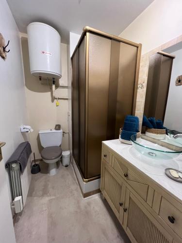 Kúpeľňa v ubytovaní Joli studio avec parking privé