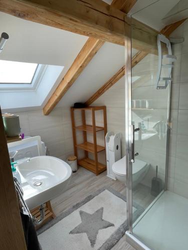 a bathroom with a glass shower and a sink at Ferienwohnung Aussicht, Monheimer Alb, Altmühltal 