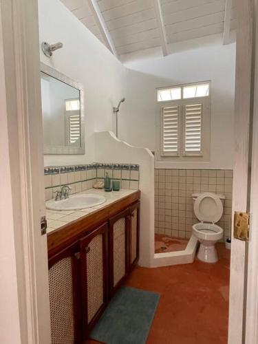 a bathroom with a sink and a toilet at Casa yaan in Las Galeras