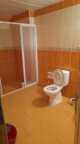 a bathroom with a toilet and a shower at liparis 3 Agritourism & Mediterranean Cuisine , holiday, aquapark , beach in Erdemli