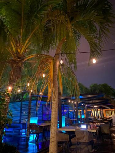 Φωτογραφία από το άλμπουμ του Hotel Las Palmas Inn σε Punto Fijo