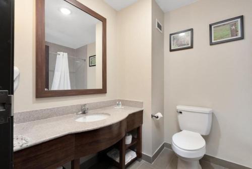 a bathroom with a sink and a toilet and a mirror at Comfort Suites in Abilene