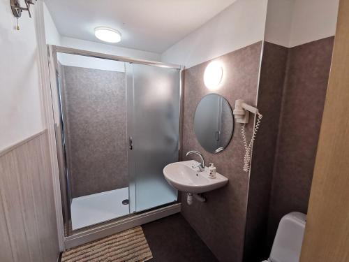 a bathroom with a shower and a sink and a mirror at Viesu māja Sprīdīši in Tērvete