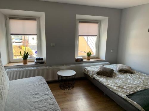 een slaapkamer met een bed en 2 ramen bij Apartament Zofia in Duszniki Zdrój