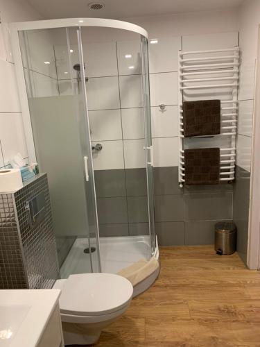 łazienka z prysznicem i toaletą w obiekcie Apartament Zofia w mieście Duszniki Zdrój