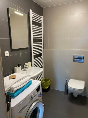 a bathroom with a washing machine and a sink at Apartmán v LakeParku in Staré Splavy