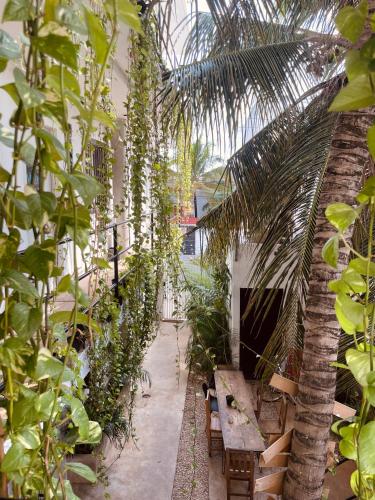 a greenhouse with a table and a palm tree at Anana Coliving in Playa del Carmen