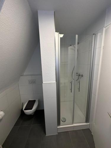 a bathroom with a shower and a toilet at City Living 2 in Schwäbisch Hall