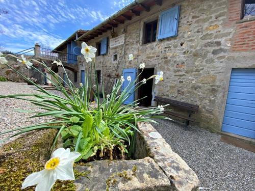 Fienile Borgo Ripiattelli