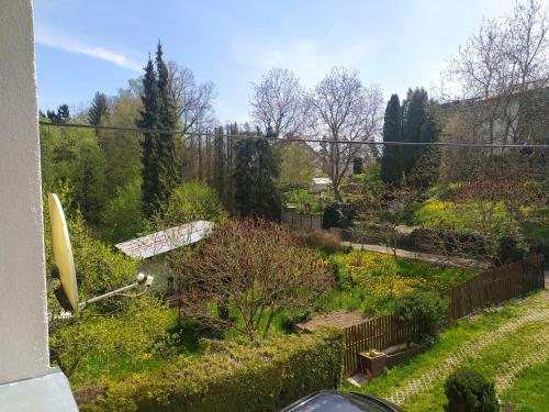 een tuin met veel planten in een tuin bij U Pintovky in Tábor