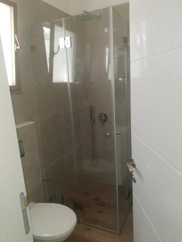 een badkamer met een glazen douche en een toilet bij חיים בגלבוע 