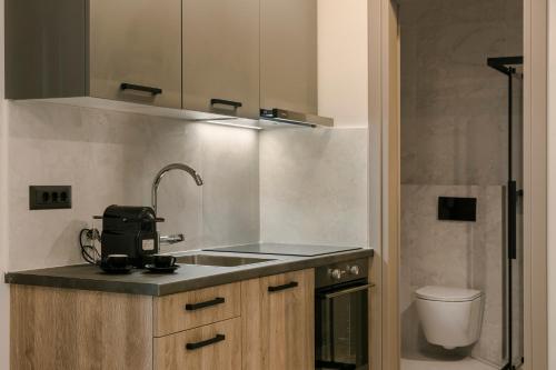 a kitchen with a sink and a toilet in a room at Anthemis Living in Argostoli