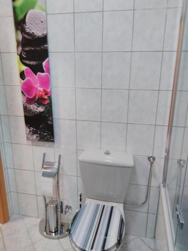 a bathroom with a toilet and a picture on the wall at Ferienwohnung Zülpich Seenähe in Zülpich