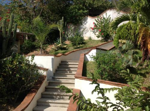 a set of stairs in a garden with plants at Casa Flor de Mar in Zipolite