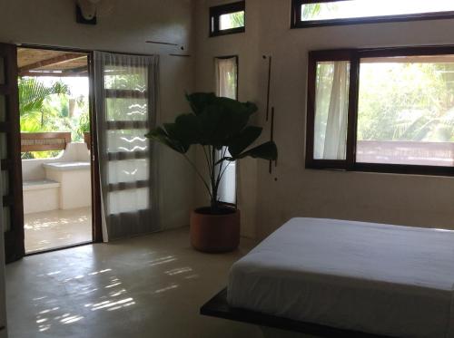 a bedroom with a bed and a potted plant at Casa Flor de Mar in Zipolite