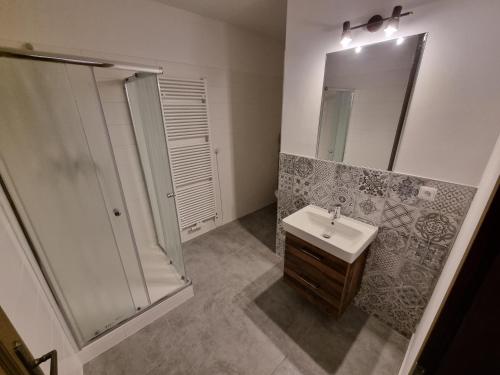 La salle de bains est pourvue d'une douche, d'un lavabo et d'un miroir. dans l'établissement Velký apartmán na náměstí v Hradci Králové, à Hradec Králové