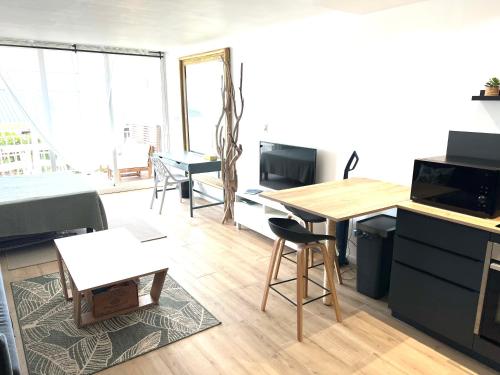TV a/nebo společenská místnost v ubytování Studio vue mer Residence Mont Vernon