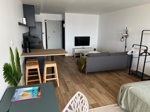 TV a/nebo společenská místnost v ubytování Studio vue mer Residence Mont Vernon