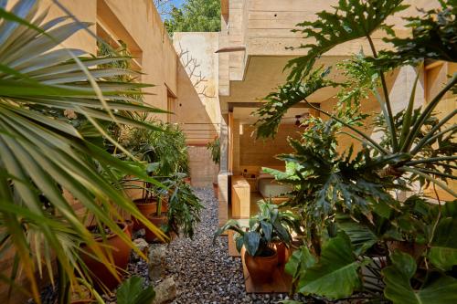 瓦哈卡德華雷斯的住宿－Hotel Escondido Oaxaca, a Member of Design Hotels，种满了植物的花园,一座建筑