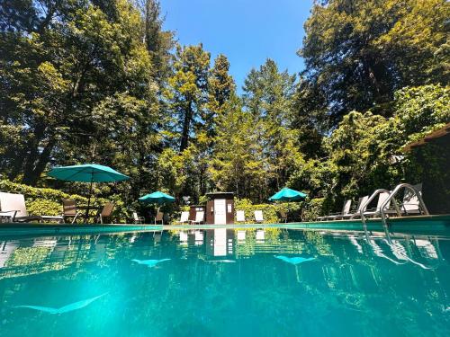 a swimming pool with blue water and umbrellas at Redwoods River Resort & Campground in Leggett