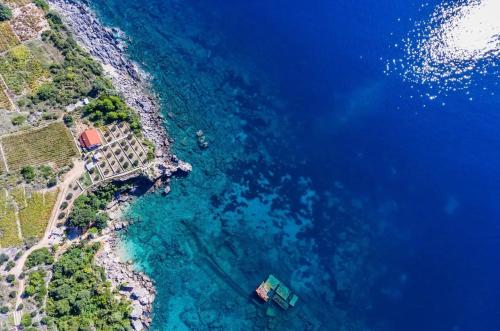 Seaside house for families with children Postup, Peljesac - 20849