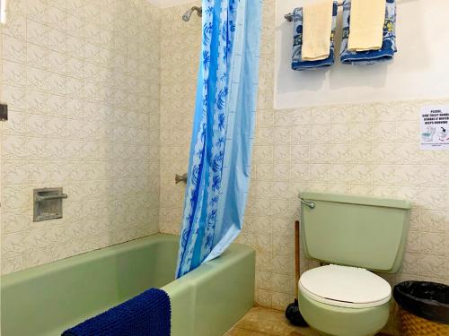 a bathroom with a toilet and a tub and a shower curtain at African Symbol Guest House in Montego Bay