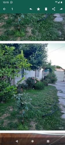 two pictures of a yard with a fence at Tuly in Ciudad Lujan de Cuyo