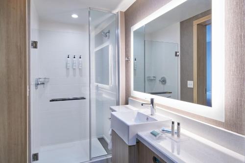 a bathroom with a sink and a shower and a mirror at SpringHill Suites by Marriott Detroit Dearborn in Dearborn