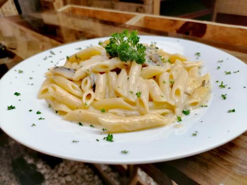 a white plate of pasta on a table at Nature house in Monteverde Costa Rica
