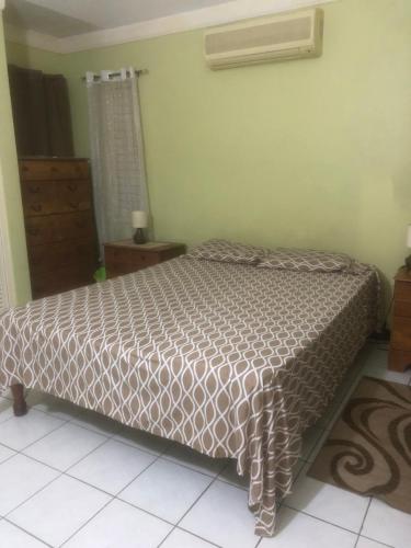 a bedroom with a bed in a room at Finest Accommodation Renfrew Place 1 Bedroom Apt # 42 New Kgn 4--12 Renfrew Rd in Kingston