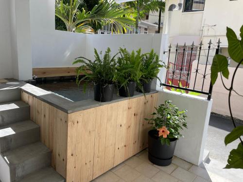 a retaining wall with potted plants on it at Sam & Chlo Studio & Appartment - Grand Baie - Mauritius in Grand Baie