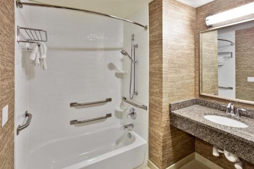 Holiday Inn Detroit Metro Airport, an IHG Hotel في رومولوس: حمام مع حوض ومغسلة ومرآة