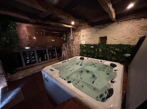 a jacuzzi bathtub in a room with at Demeure du Vallon - Chambres d'Hôtes de Charme in Azerat