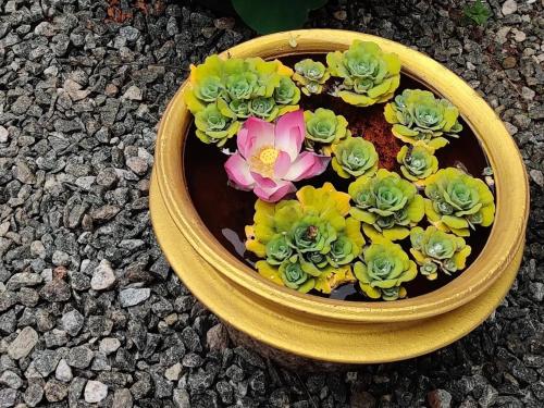 a flower pot with flowers in it on the ground at CLIFF HEAVEN in Varkala