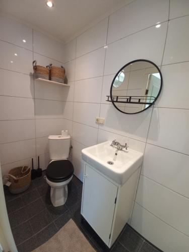 een badkamer met een toilet, een wastafel en een spiegel bij Mariahoeve in Rilland