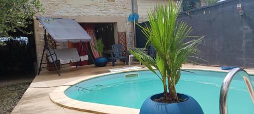 eine Pflanze in einem blauen Topf neben einem Pool in der Unterkunft Grande chambre d'hôte avec piscine chauffée et Jacuzzi à disposition in Chef-Boutonne