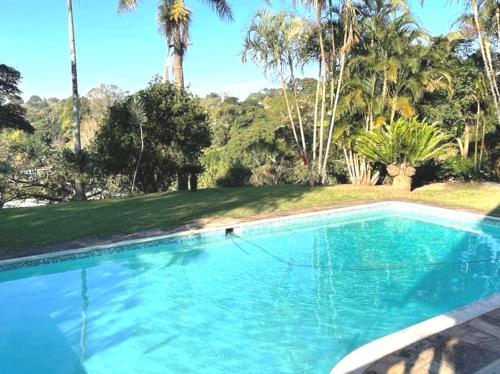 a swimming pool in a yard with palm trees at Comfrey cottage in Kloof